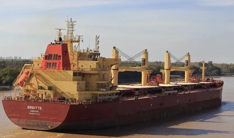 BRIGITTE Bulk Carrier IMO 9730270 photo 4