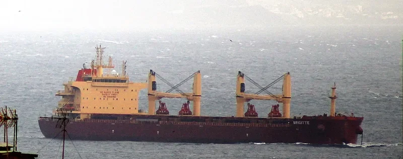BRIGITTE Bulk Carrier IMO 9730270 photo 7