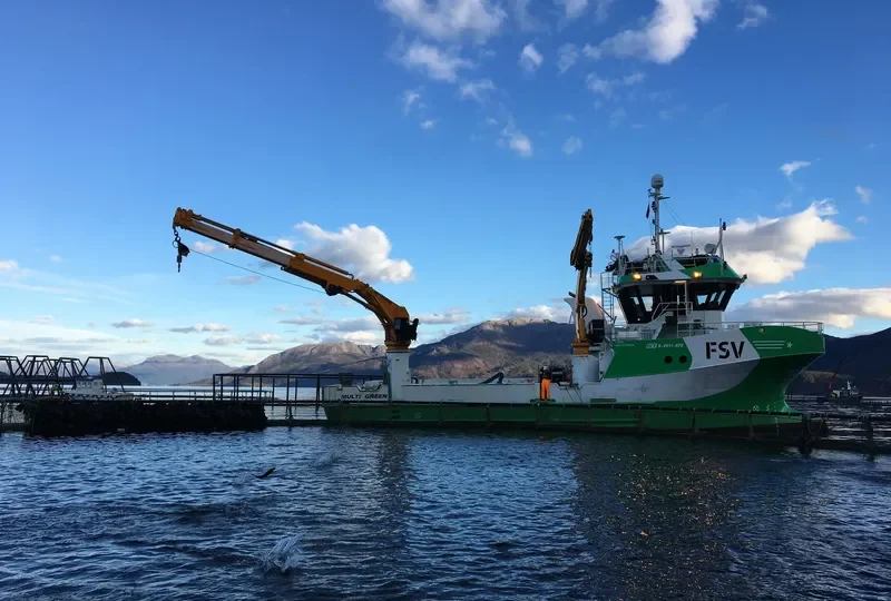 MULTI GREEN Offshore Vessel IMO 9730684 photo 2