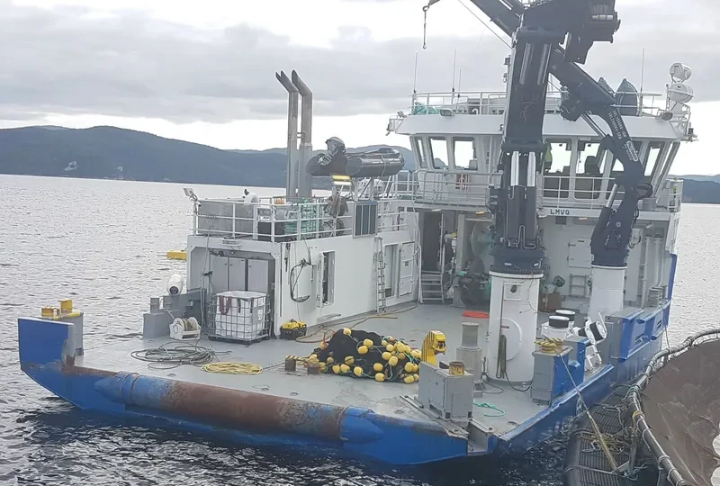 FROY SERVER General Cargo IMO 9730713 photo 4
