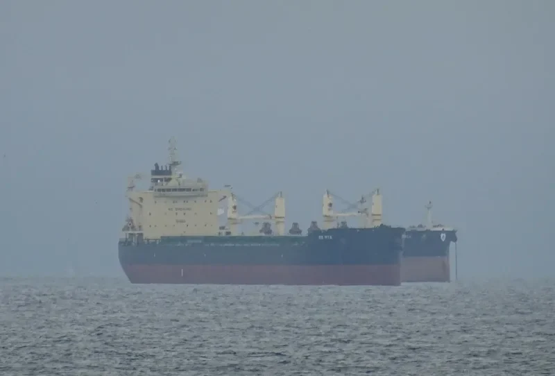 RB MYA Bulk Carrier IMO 9730842