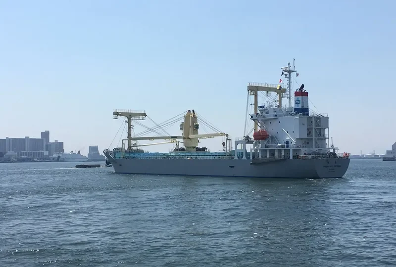 CSE BRAVERY EXPRESS General Cargo IMO 9730907 photo 2