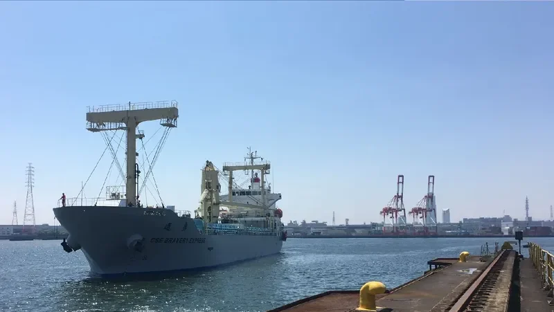 CSE BRAVERY EXPRESS General Cargo IMO 9730907 photo 3