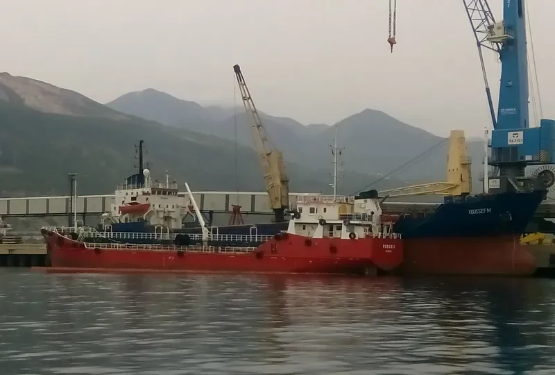FORCE 3 General Cargo IMO 9731030 photo 2