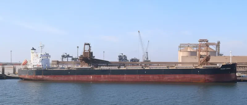 VALIANT SPRING Bulk Carrier IMO 9731183