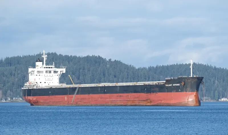 VALIANT SPRING Bulk Carrier IMO 9731183 photo 2