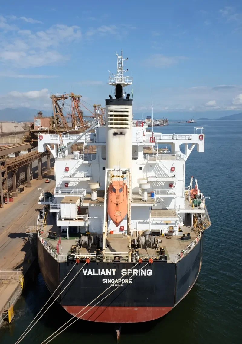 VALIANT SPRING Bulk Carrier IMO 9731183 photo 3