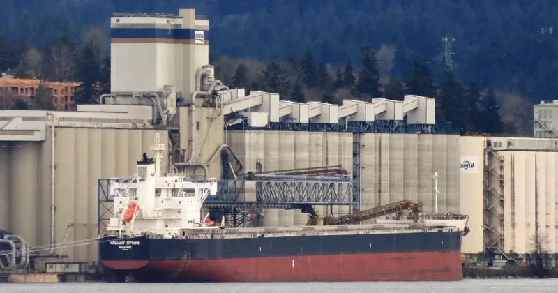 VALIANT SPRING Bulk Carrier IMO 9731183 photo 4