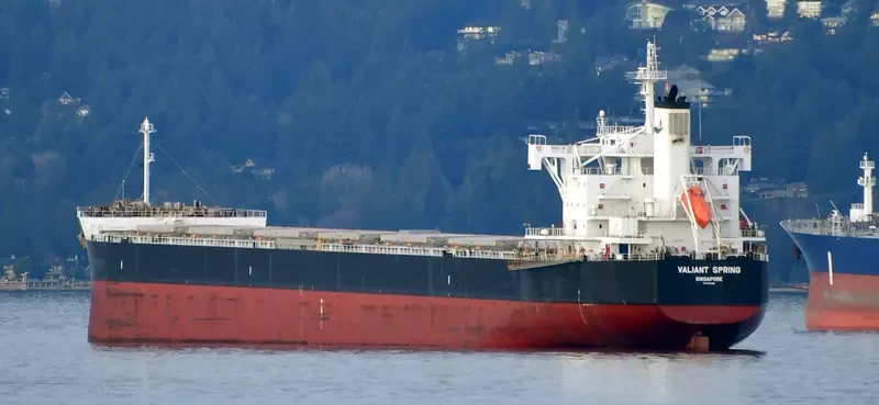 VALIANT SPRING Bulk Carrier IMO 9731183 photo 5