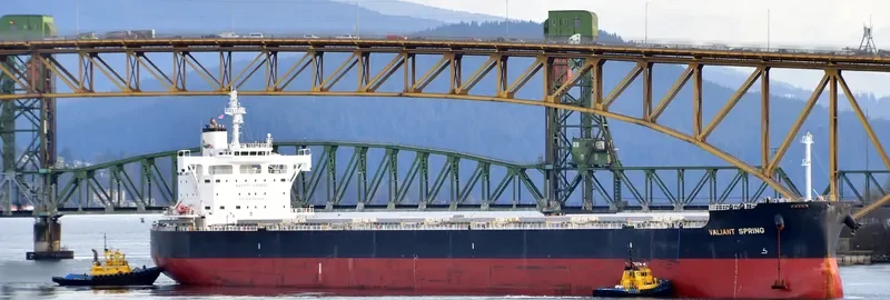 VALIANT SPRING Bulk Carrier IMO 9731183 photo 6