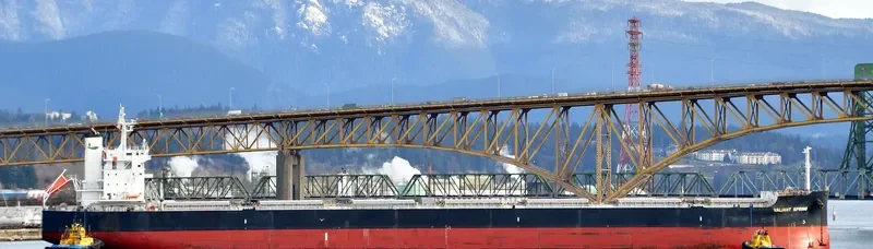 VALIANT SPRING Bulk Carrier IMO 9731183 photo 7