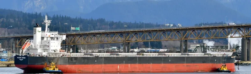 VALIANT SPRING Bulk Carrier IMO 9731183 photo 8