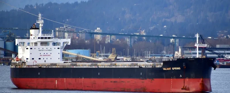 VALIANT SPRING Bulk Carrier IMO 9731183 photo 9