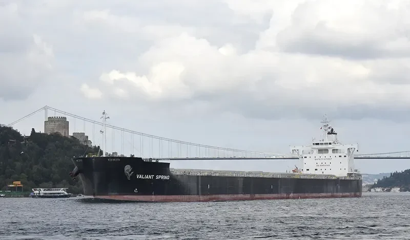VALIANT SPRING Bulk Carrier IMO 9731183 photo 10