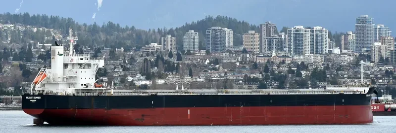 VALIANT SUMMER Bulk Carrier IMO 9731195