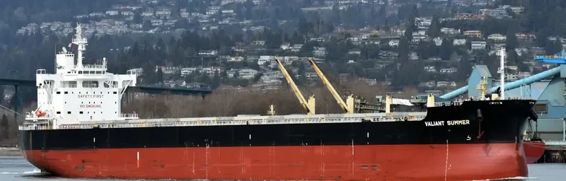 VALIANT SUMMER Bulk Carrier IMO 9731195 photo 2