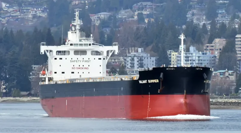 VALIANT SUMMER Bulk Carrier IMO 9731195 photo 3
