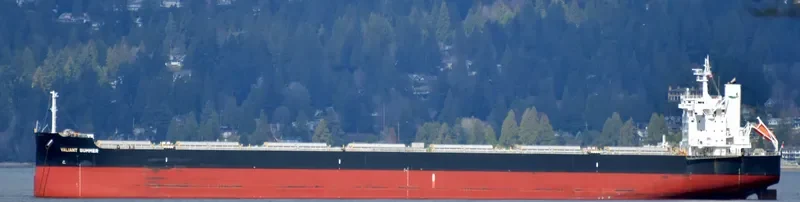 VALIANT SUMMER Bulk Carrier IMO 9731195 photo 4