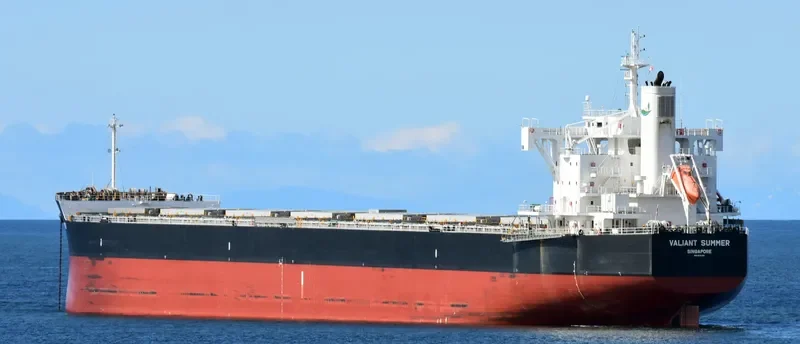 VALIANT SUMMER Bulk Carrier IMO 9731195 photo 5