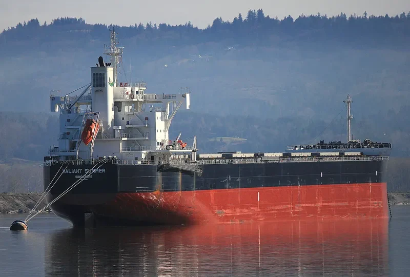 VALIANT SUMMER Bulk Carrier IMO 9731195 photo 6