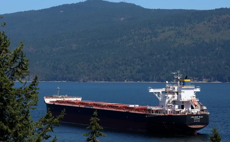 LOWLANDS BLUE Bulk Carrier IMO 9731200