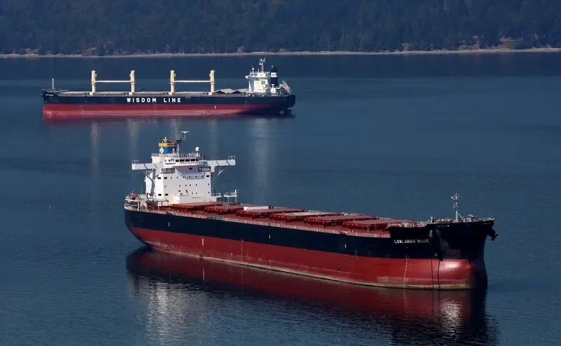 LOWLANDS BLUE Bulk Carrier IMO 9731200 photo 2