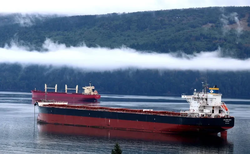 LOWLANDS BLUE Bulk Carrier IMO 9731200 photo 4
