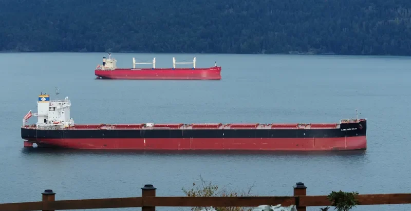 LOWLANDS BLUE Bulk Carrier IMO 9731200 photo 5