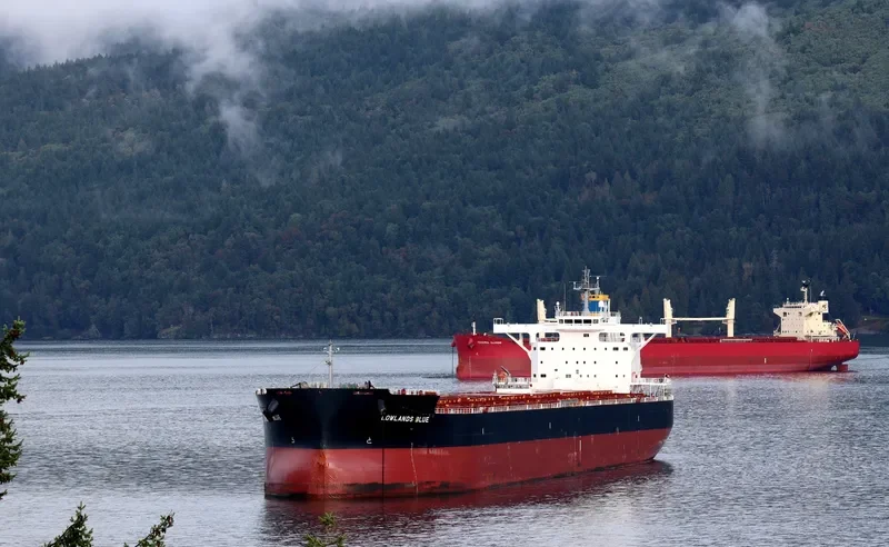 LOWLANDS BLUE Bulk Carrier IMO 9731200 photo 6