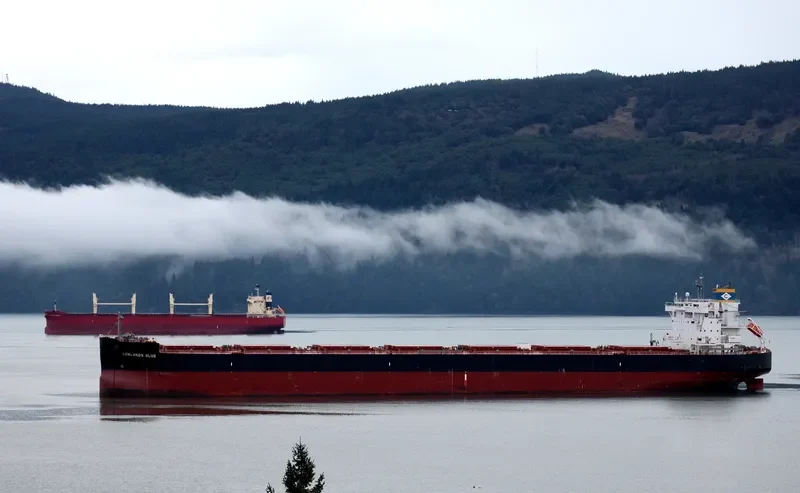 LOWLANDS BLUE Bulk Carrier IMO 9731200 photo 7
