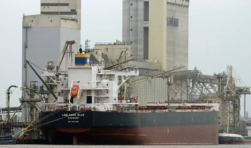 LOWLANDS BLUE Bulk Carrier IMO 9731200 photo 8