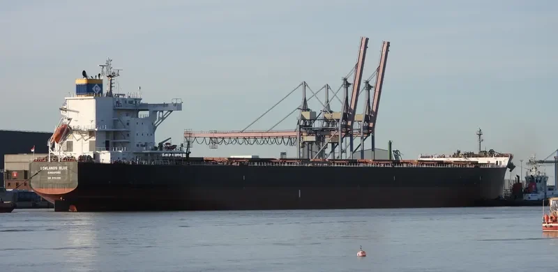 LOWLANDS BLUE Bulk Carrier IMO 9731200 photo 9