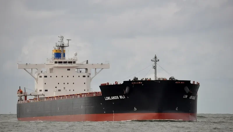 LOWLANDS BLUE Bulk Carrier IMO 9731200 photo 10