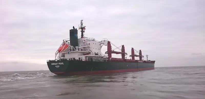 NORWAY PEARL General Cargo IMO 9731224 photo 8