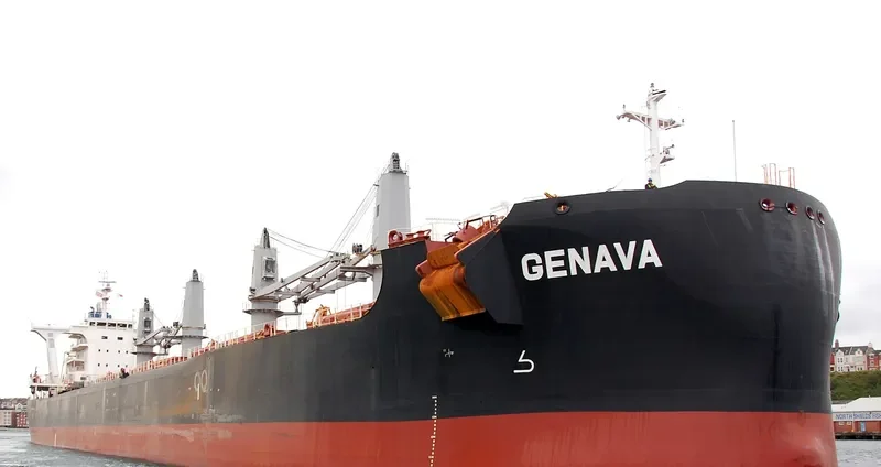 GENAVA Bulk Carrier IMO 9731248 photo 2