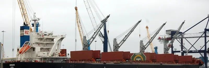 GENAVA Bulk Carrier IMO 9731248 photo 3