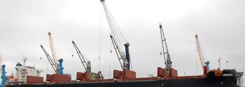 GENAVA Bulk Carrier IMO 9731248 photo 4