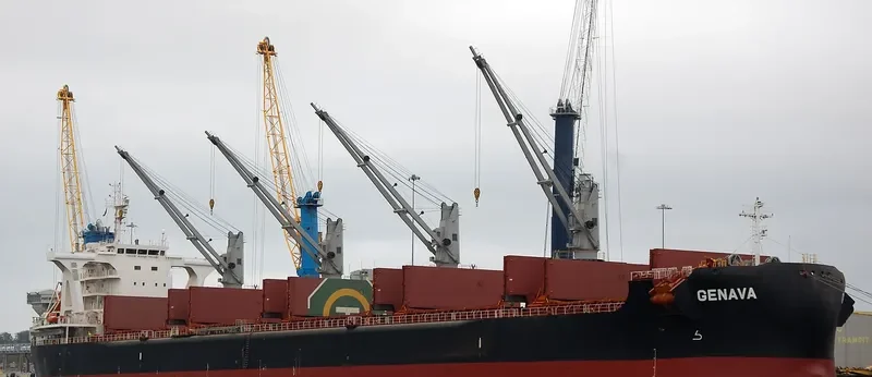 GENAVA Bulk Carrier IMO 9731248 photo 5