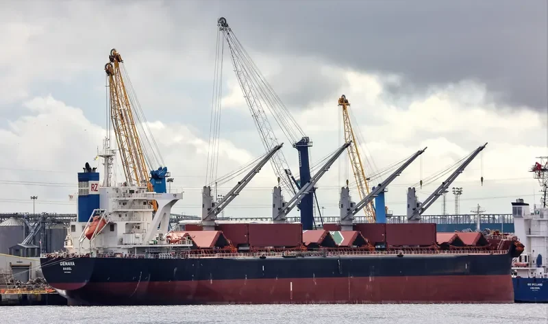 GENAVA Bulk Carrier IMO 9731248 photo 6