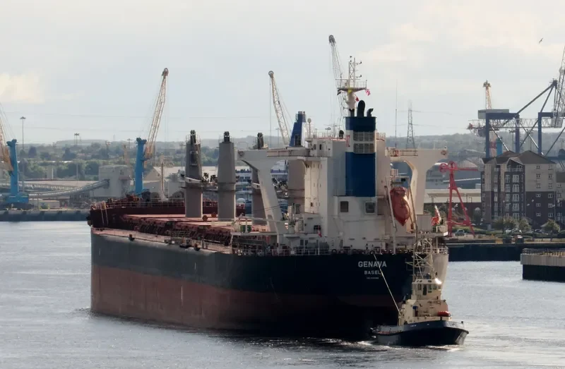 GENAVA Bulk Carrier IMO 9731248 photo 7