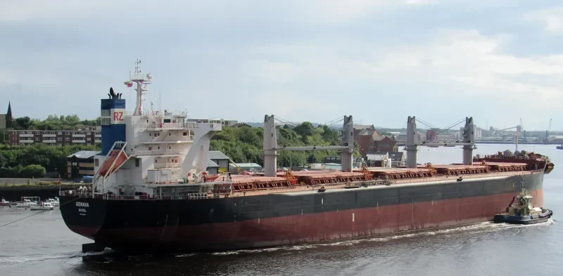 GENAVA Bulk Carrier IMO 9731248 photo 8