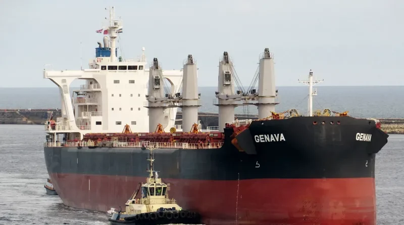 GENAVA Bulk Carrier IMO 9731248 photo 10