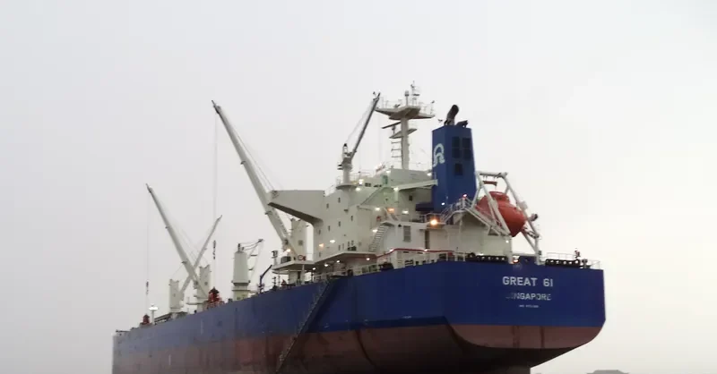 GREAT 61 Bulk Carrier IMO 9731365 photo 3