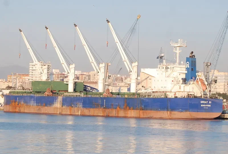 GREAT 61 Bulk Carrier IMO 9731365 photo 10