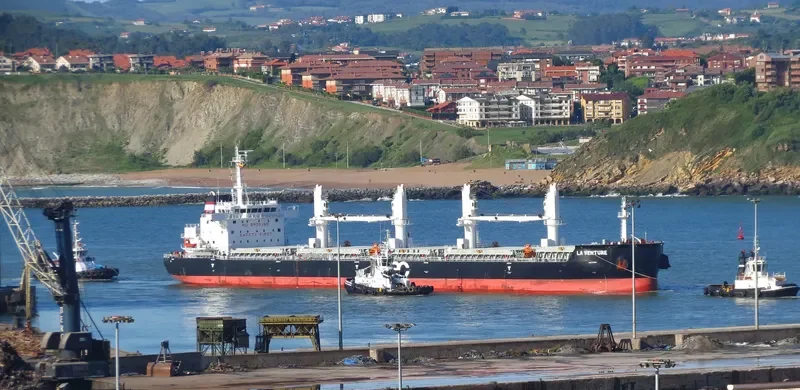 ATLANTIC ALTAMIRA Bulk Carrier IMO 9731391 photo 5
