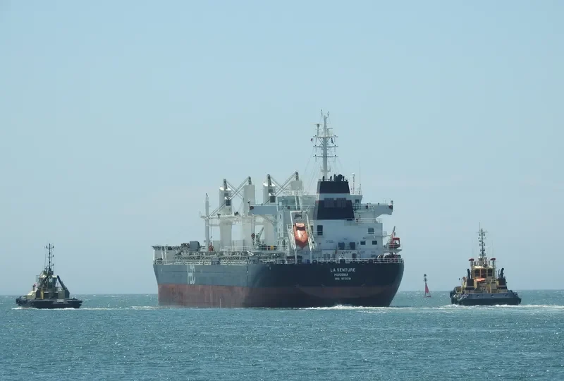 ATLANTIC ALTAMIRA Bulk Carrier IMO 9731391 photo 9