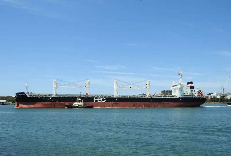 ATLANTIC ALTAMIRA Bulk Carrier IMO 9731391 photo 10