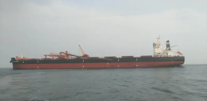 STAR MAGNANIMUS Bulk Carrier IMO 9731470 photo 2