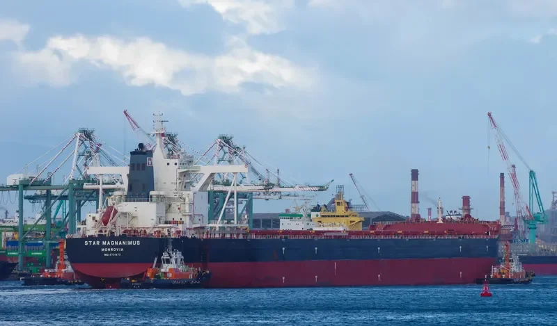 STAR MAGNANIMUS Bulk Carrier IMO 9731470 photo 3