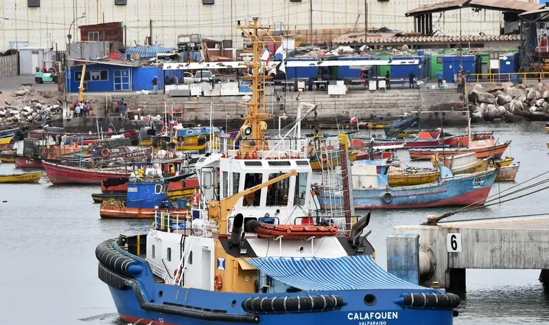 CALAFQUEN General Cargo IMO 9731509 photo 5